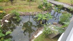 Bliss@Kovan (D19), Condominium #180687162